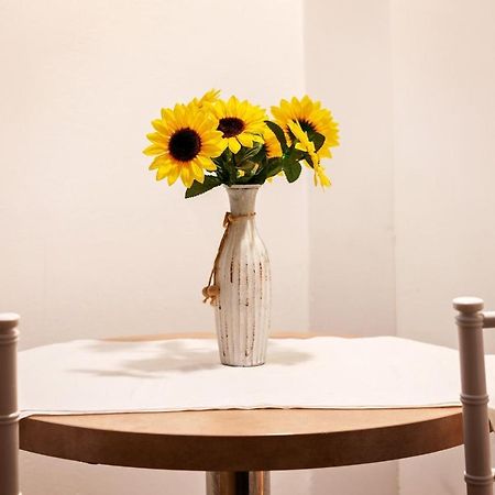 Diac Apartment Center Брашов Экстерьер фото
